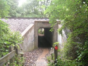 Cut under the train tracks via this (apparently) really old tunnel and get up close and personal with the Meramec.