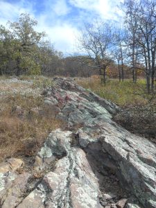 Check out dem rocks in dat glade.