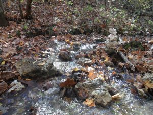 The trickle of water along with the sound of falling leaves made for a tranquil moment.